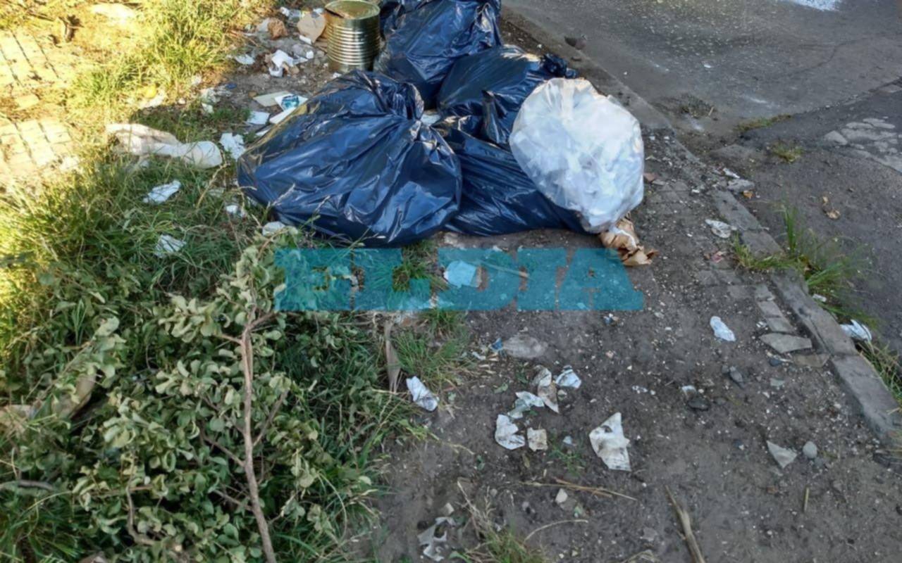 Dos propiedades abandonadas preocupan por pastizales y basura acumulada