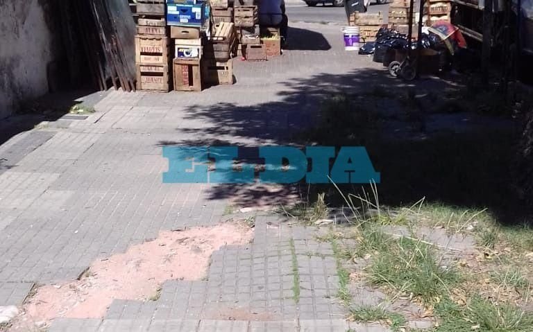 Complican a los vecinos veredas rotas en pleno Barrio Norte