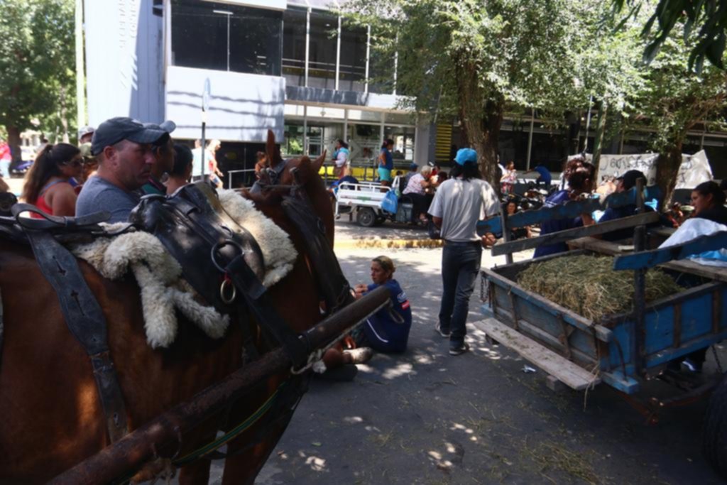 Con los carros y caballos, los cartoneros protestaron en 20 y 50