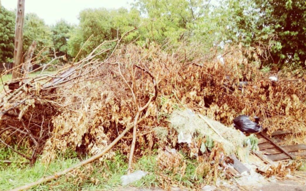 Reclamo por basura acumulada en Altos de San Lorenzo