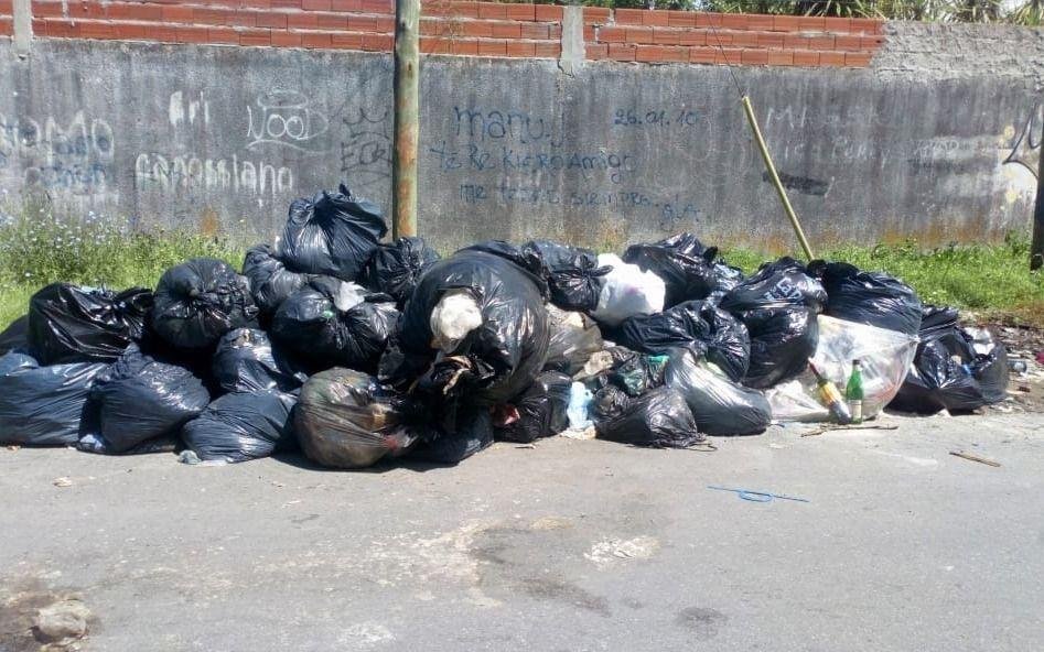 En 81, 1 y 2 el recolector brilla por su ausencia