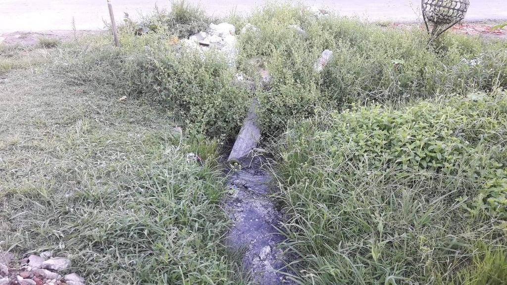 Basura, pastizales, roedores y vecinos hartos en 78 y 17
