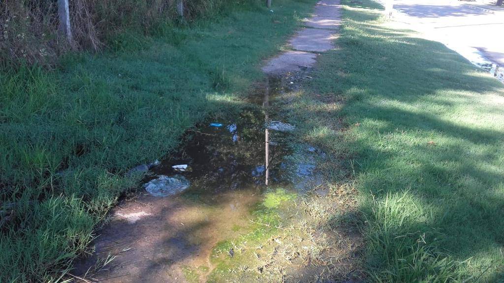 Esperan el micro en el agua sucia y entre ratas muertas