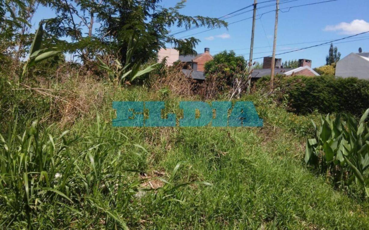 Una lectora de City Bell hizo una batería de reclamos vecinales
