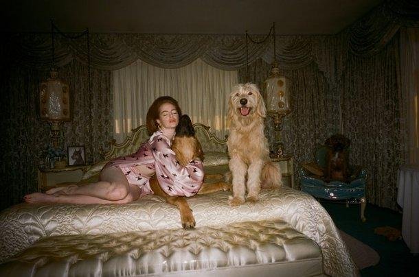 El San Valentín de Emma Stone, con sus perros