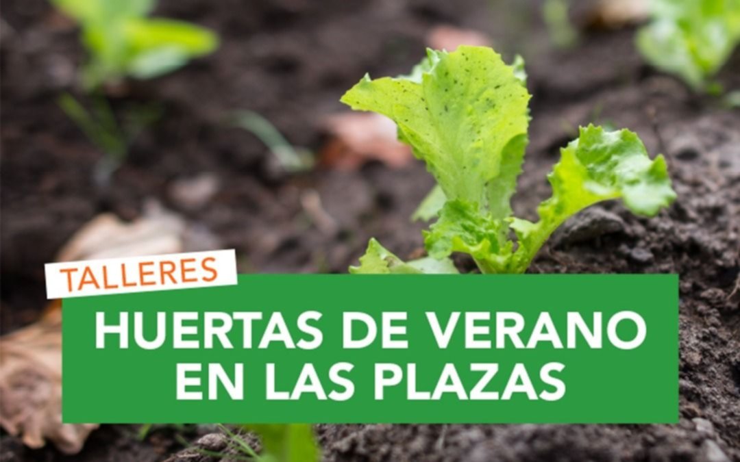 Huertas de verano en Quilmes