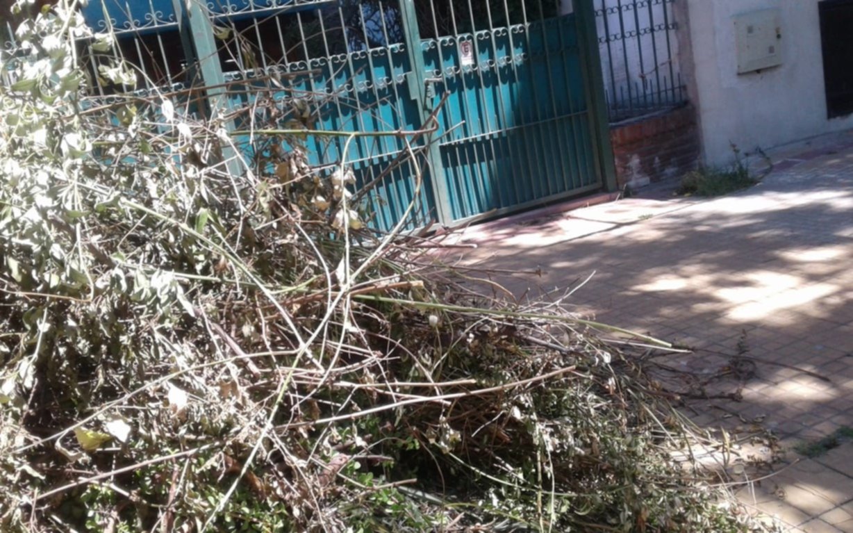 Piden recolección de ramas en 18, 33 y 34