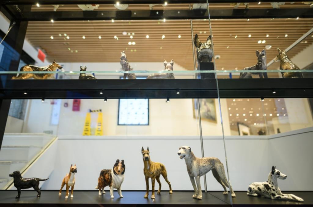 Perros de museo