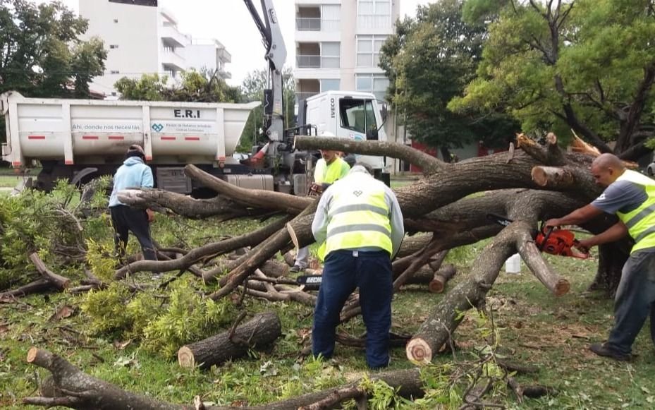 Lo que dejó el temporal: 500 árboles caídos y recolectaron 1500 toneladas de ramas y hojas