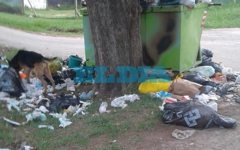 Piden limpieza de un basural en Barrio Aeropuerto