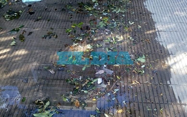 Pérdida de agua en avenida 31 entre 41 y 42