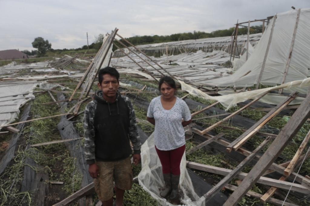 Crece la preocupación por el impacto de la tormenta en el cordón hortícola