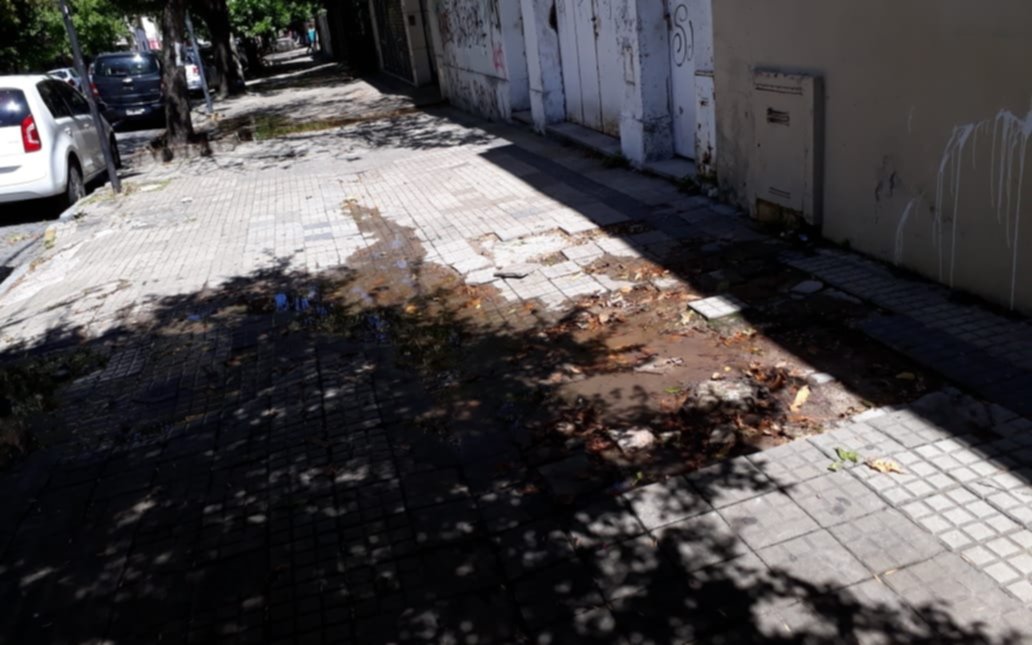  Tres viviendas jaqueadas por una  filtración en 41, 5 y 6 