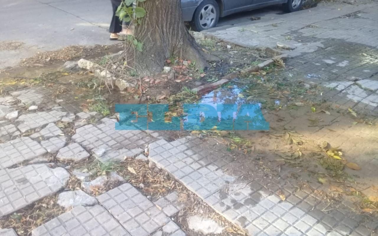 Malestar por pérdida de agua en 39 entre 16 y 17