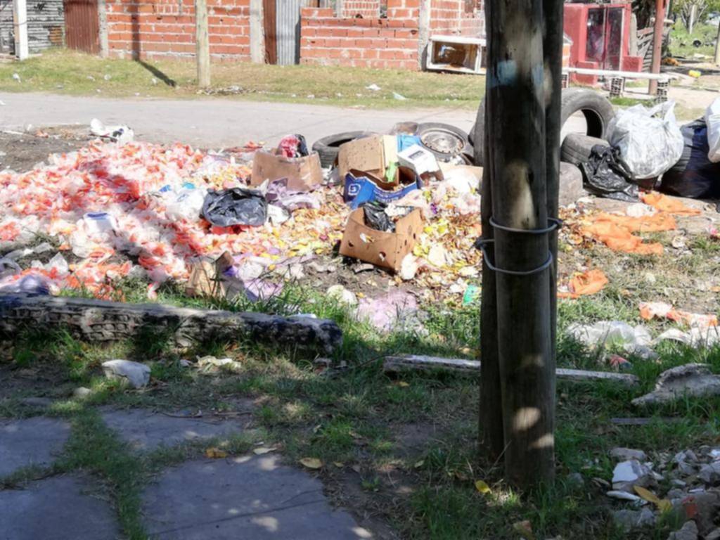 Viven con una montaña de basura frente a la casa