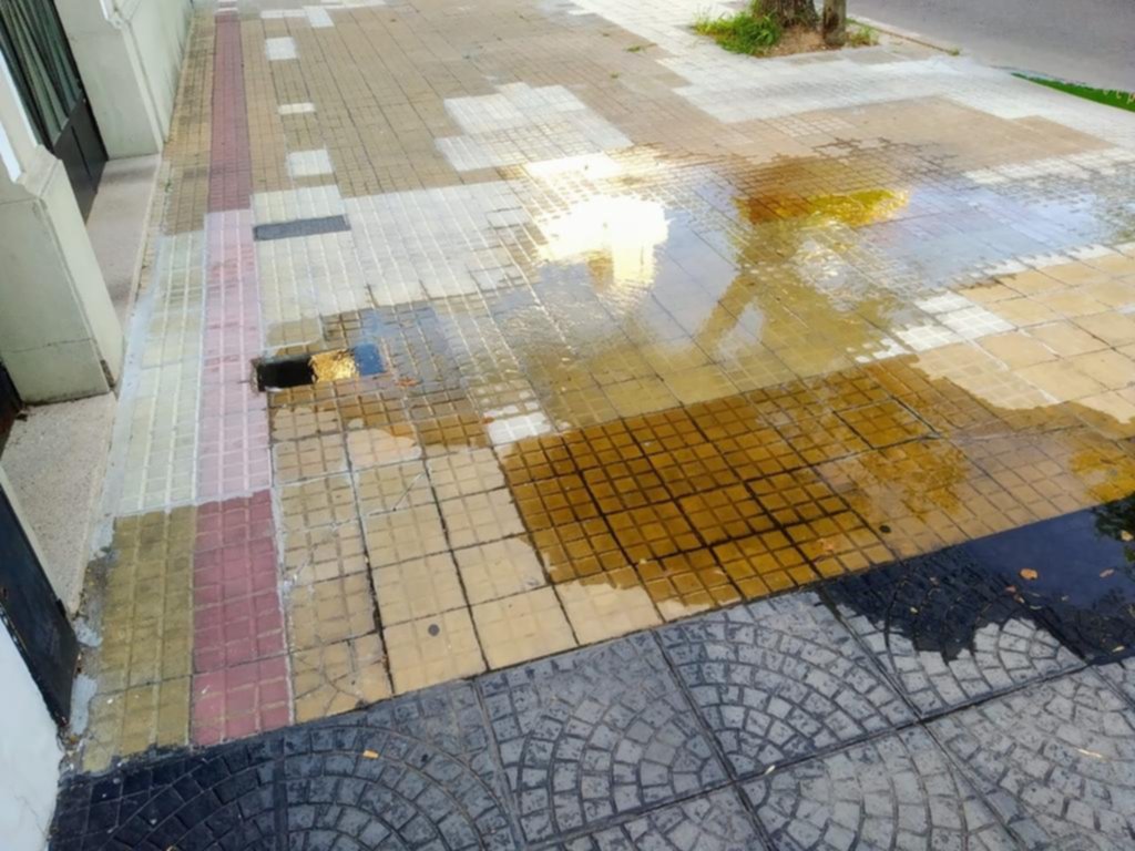 Se derrocha agua por una filtración “y nadie hace nada”
