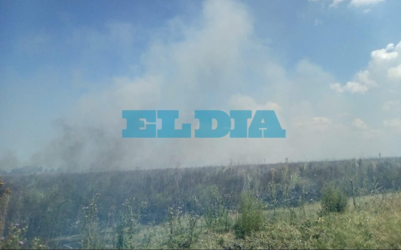 Revuelo por incendio de descampados en una jornada de calor agobiante