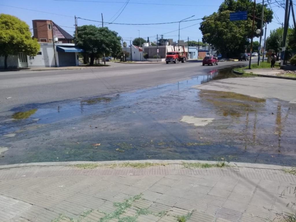 Se derrocha en la vía pública lo que escasea en los hogares