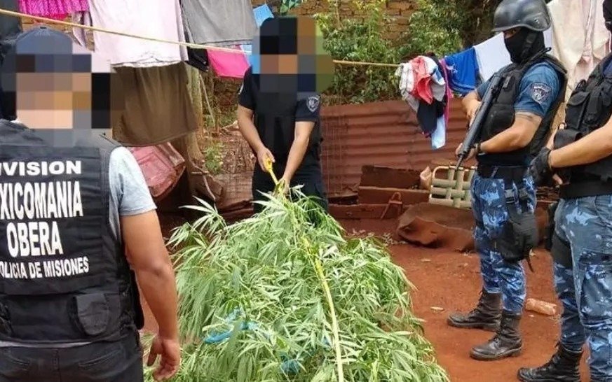 Una mujer de 74 años fue detenida por cultivar marihuana para uso medicinal