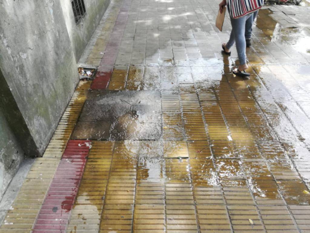 Una cámara de Absa que no da más frente al Ludovica