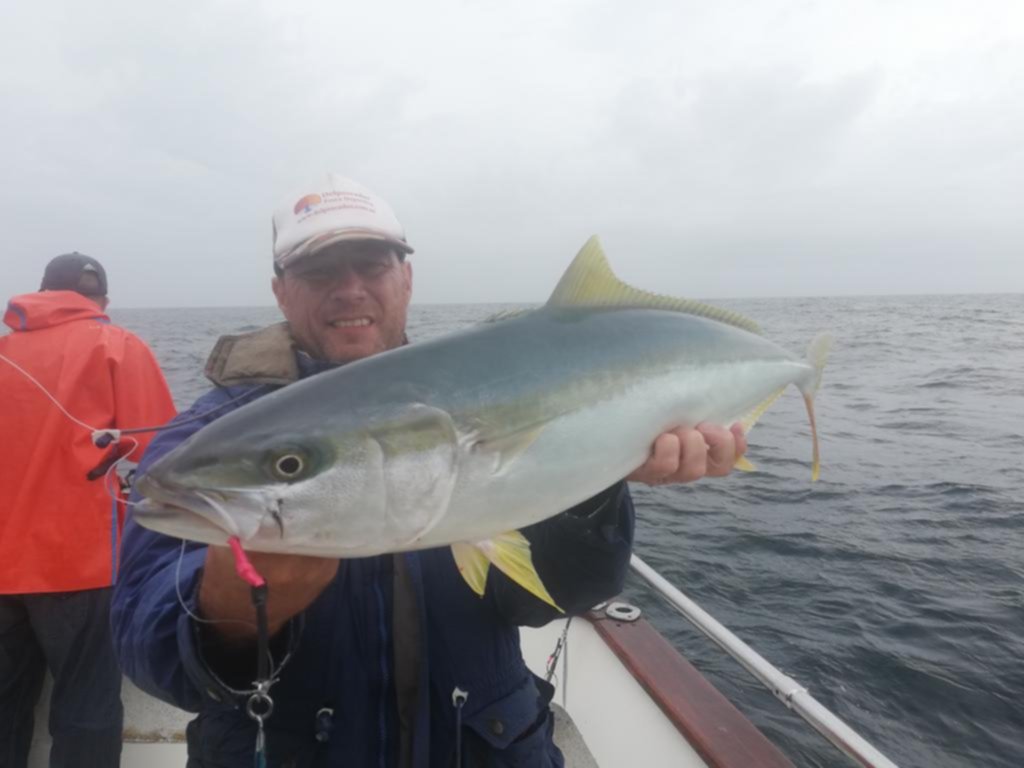 El pez limón es la “vedette” de los pescadores en Mar del Plata