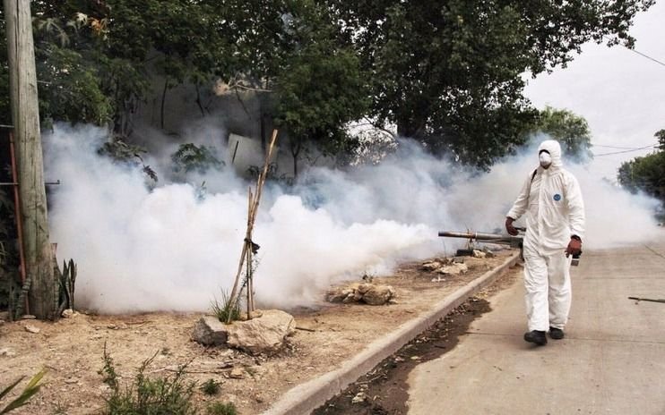 Actividades de prevención contra el dengue, zika y chikungunya en la ribera