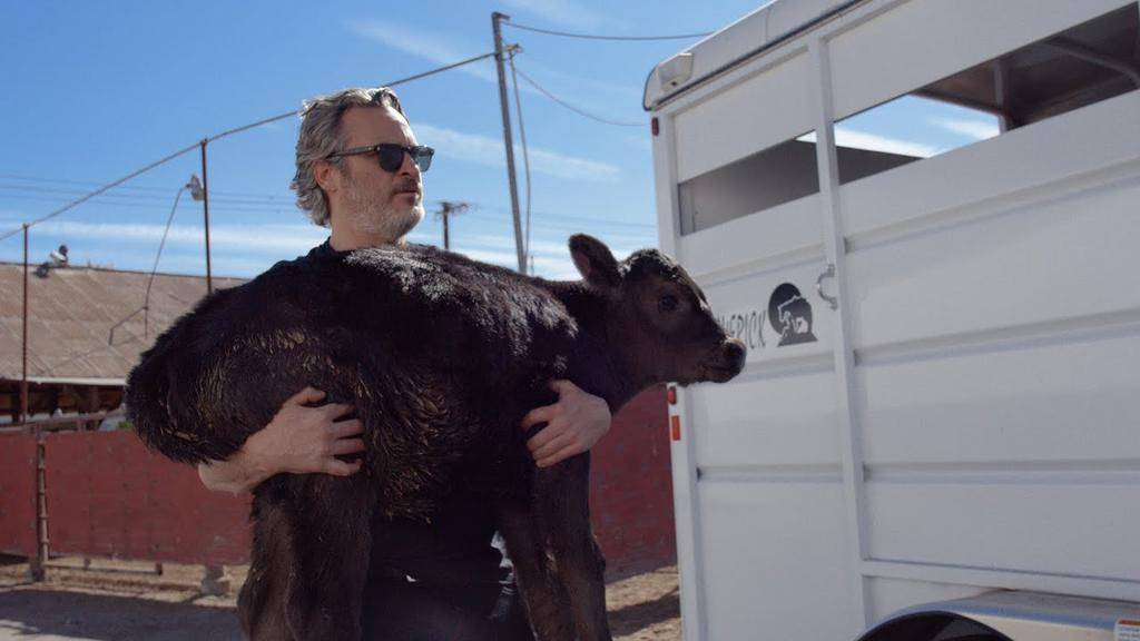 Joaquin Phoenix rescató una vaca del matadero tras ganar el Oscar