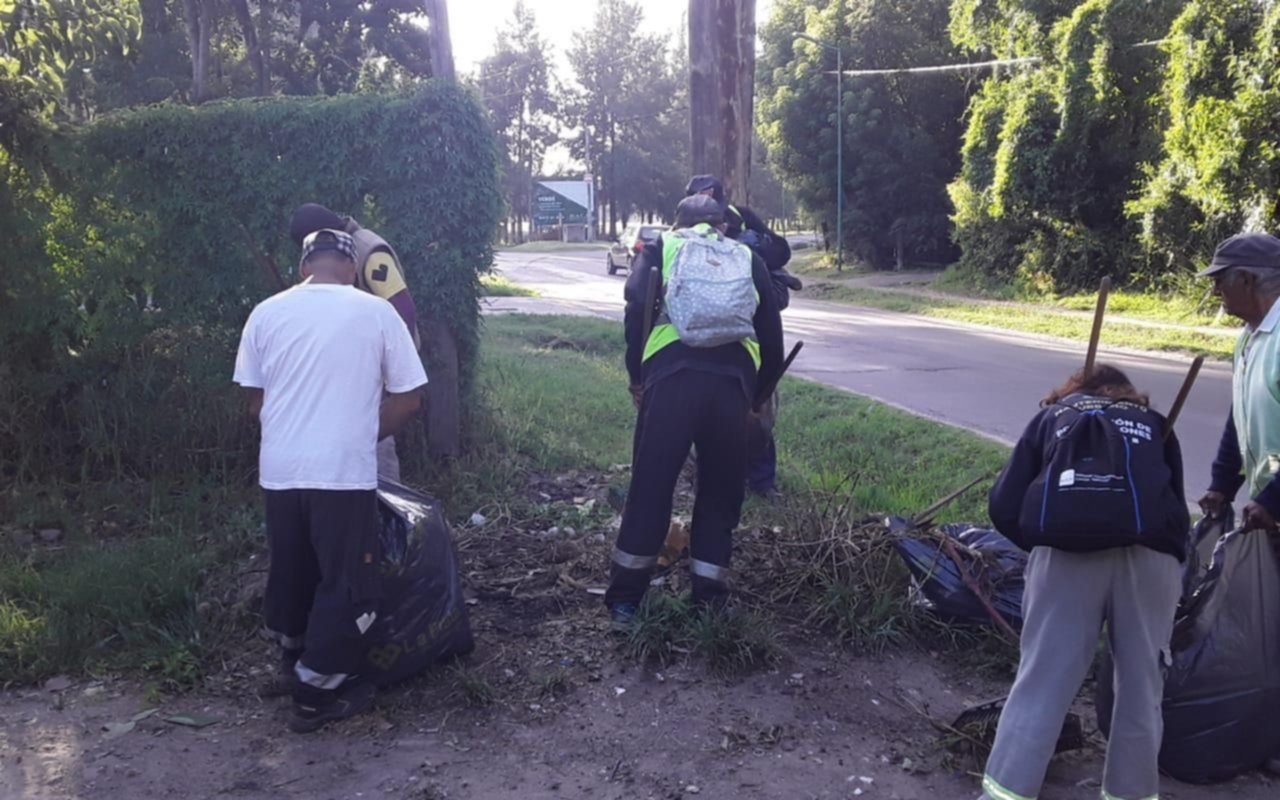 Intensifican los trabajos de prevención para evitar la propagación del dengue  