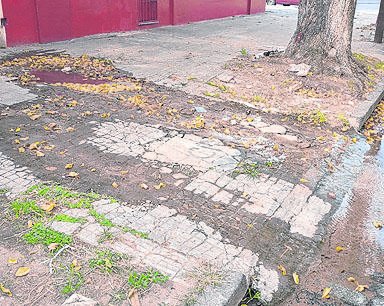 “Manantial” por un caño roto en 65 entre Diag. 73 y 3
