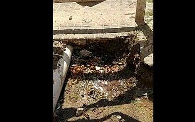 Preocupación en 523 y 7 por una pérdida de ​​​​​​​agua: "tememos enfermarnos de dengue"