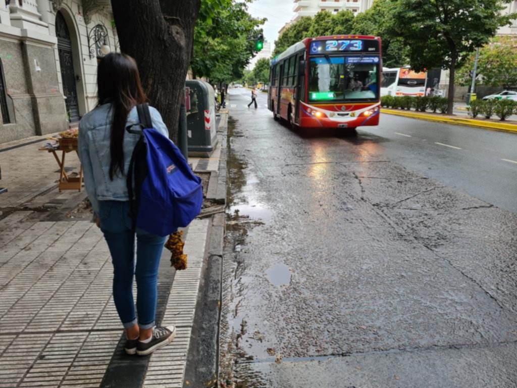 En La Plata viaja en micro el 35% de la gente que lo hacía en la prepandemia