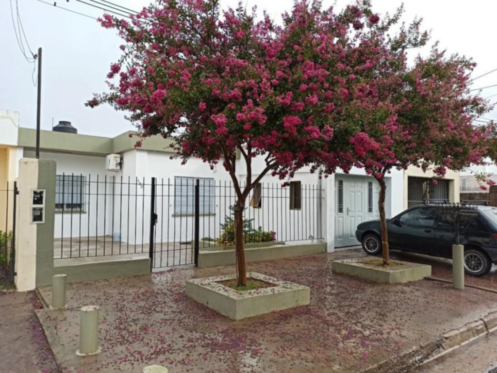 Golpean a dos mujeres en un robo y huyen con un pedido de disculpas