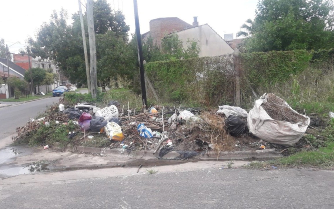 Un basural en 461d y 15a: "Está lleno de ratas y bichos"