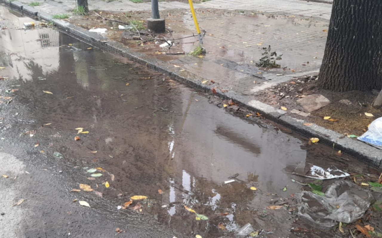 Las pérdidas de agua, un dolor de cabeza para cientos de vecinos de La Plata