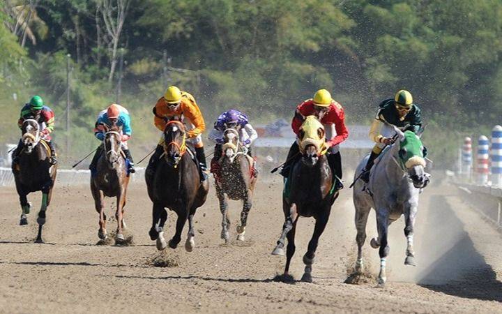 Se suspendió la actividad prevista para hoy en el hipódromo de La Plata