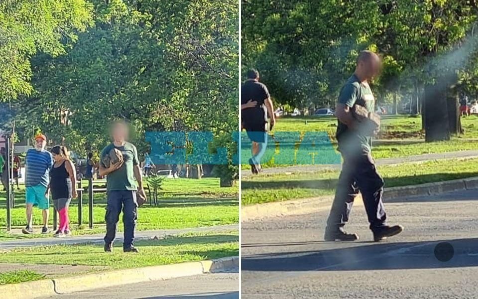 In fraganti: denuncian que un conductor se robó varios adoquines en 4 y 532