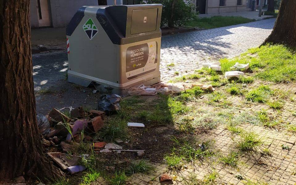 Pasto y basura en abundancia en vereda de 16 entre 46 y 47