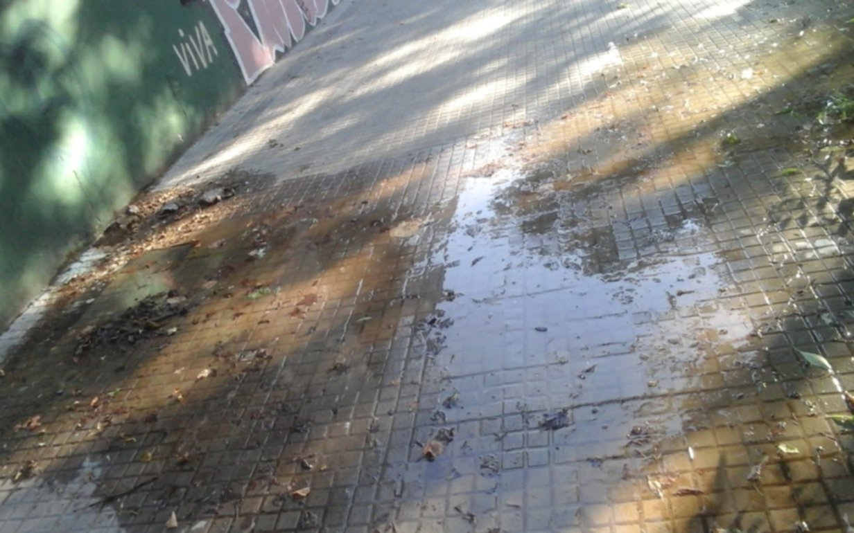Las perdidas de agua, un mal que se sufre en diferentes barrios de la Ciudad