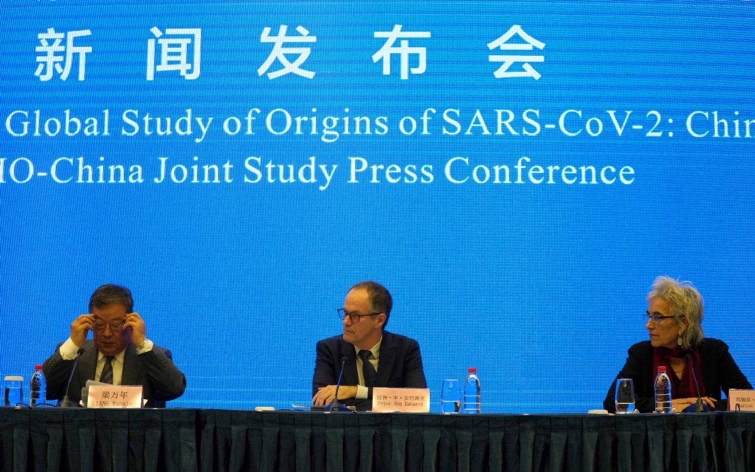 El origen del coronavirus: ¿Qué averiguó la OMS en la misión a China?