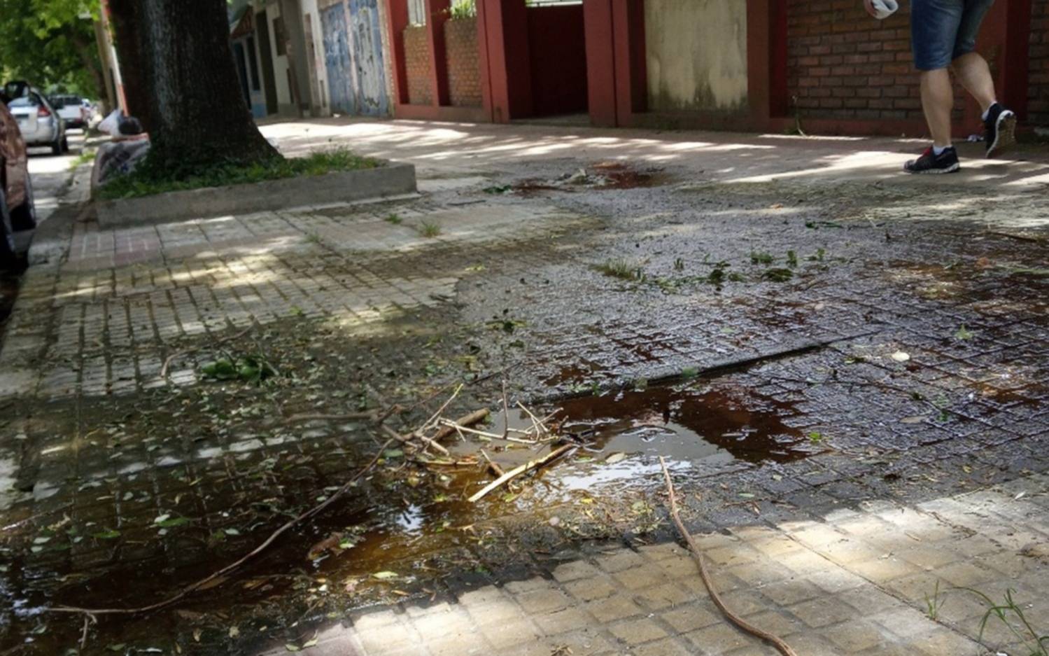 Una pérdida de agua lleva más de 3 años en La Loma