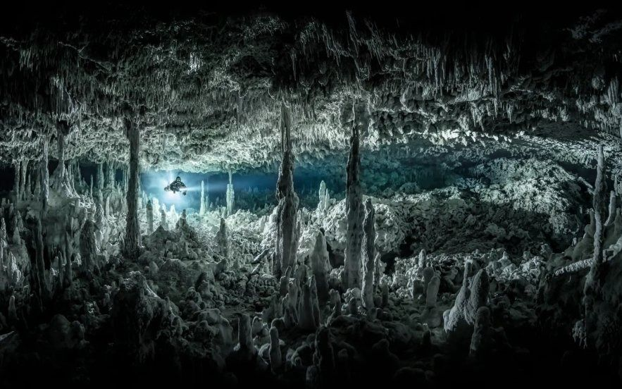 Las deslumbrantes imágenes ganadoras del concurso Fotógrafo Subacuático del año 2021