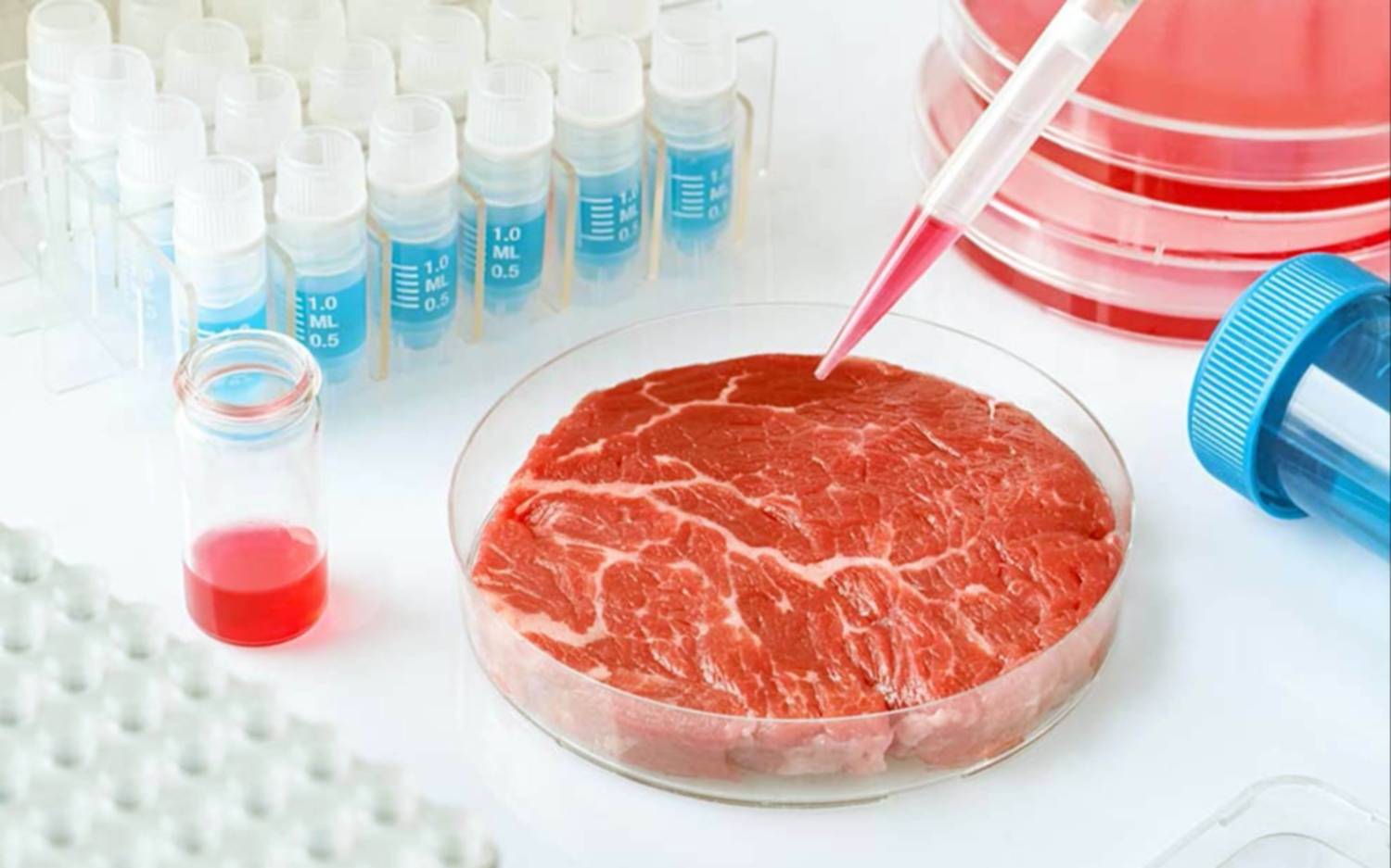 Bill Gates aseguró que los países ricos solo deberían comer carne sintética