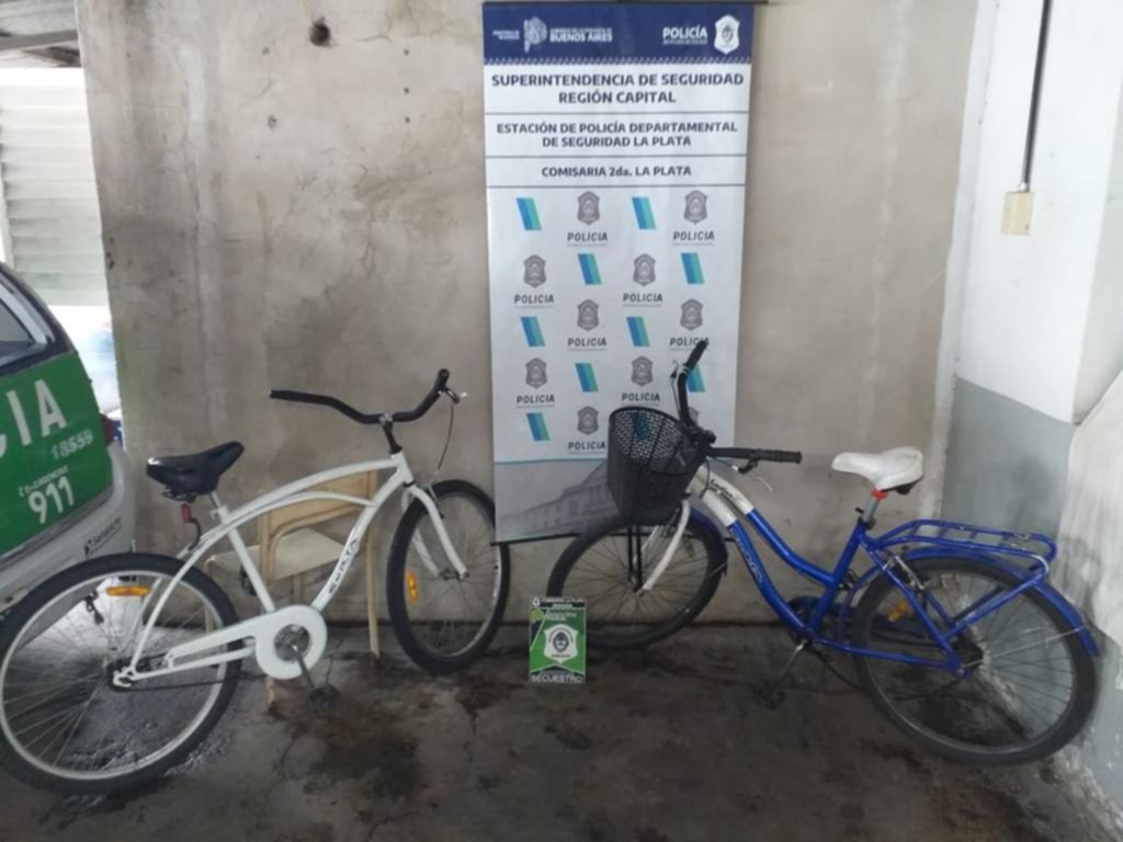 Llegaban de Berazategui en tren a robar bicicletas