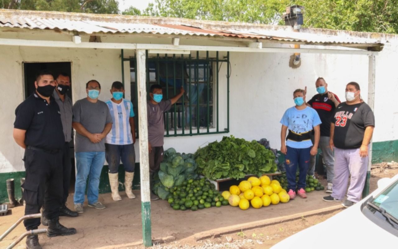 De huerta solidaria de una cárcel donaron acelgas, zapallitos y melones a hospital platense