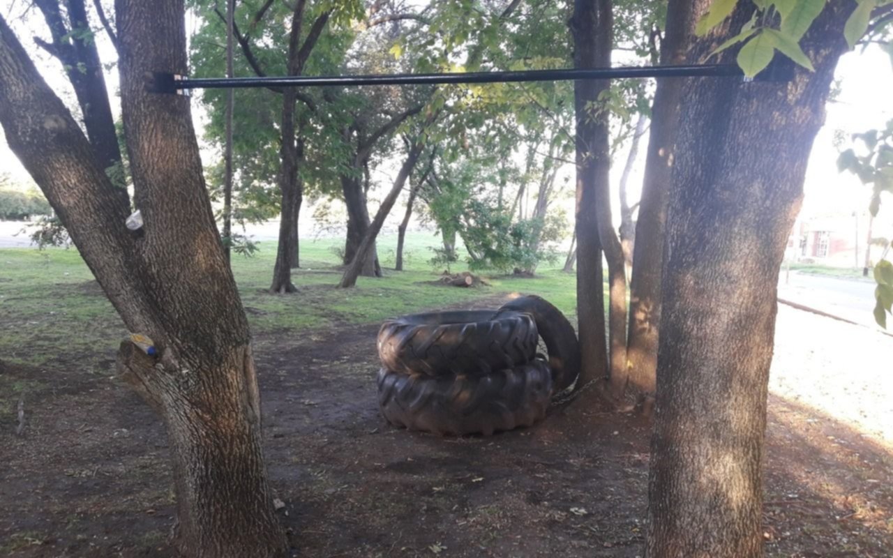 Denuncian "gimnasio clandestino" a la vera de una avenida de La Plata: "Dañan los árboles"