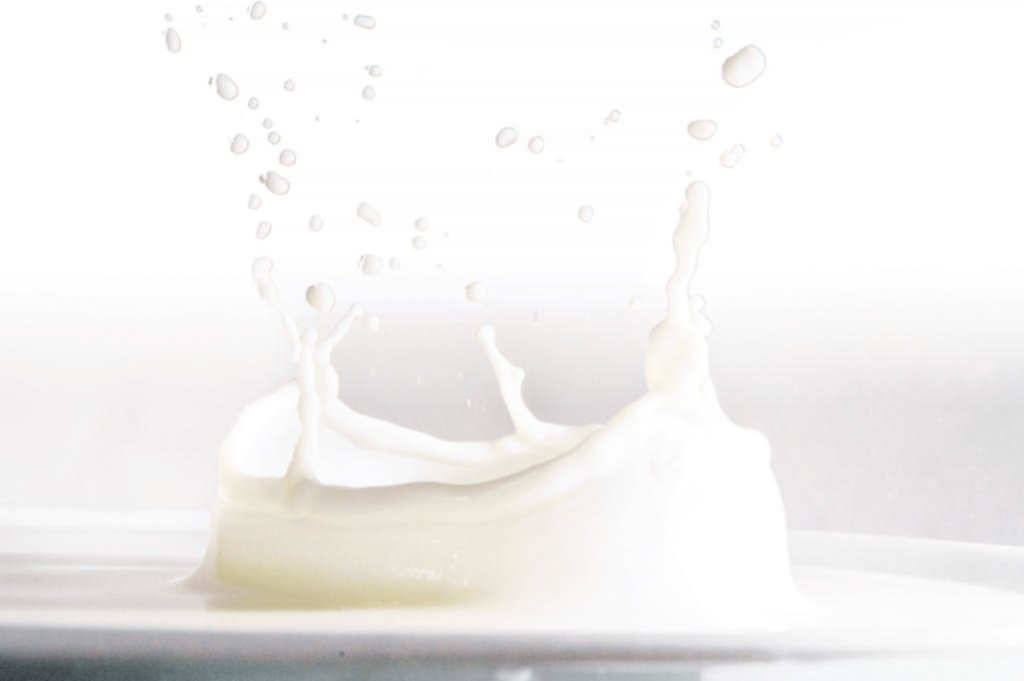Tomar leche: descremada o entera, la contienda sin una clara vencedora