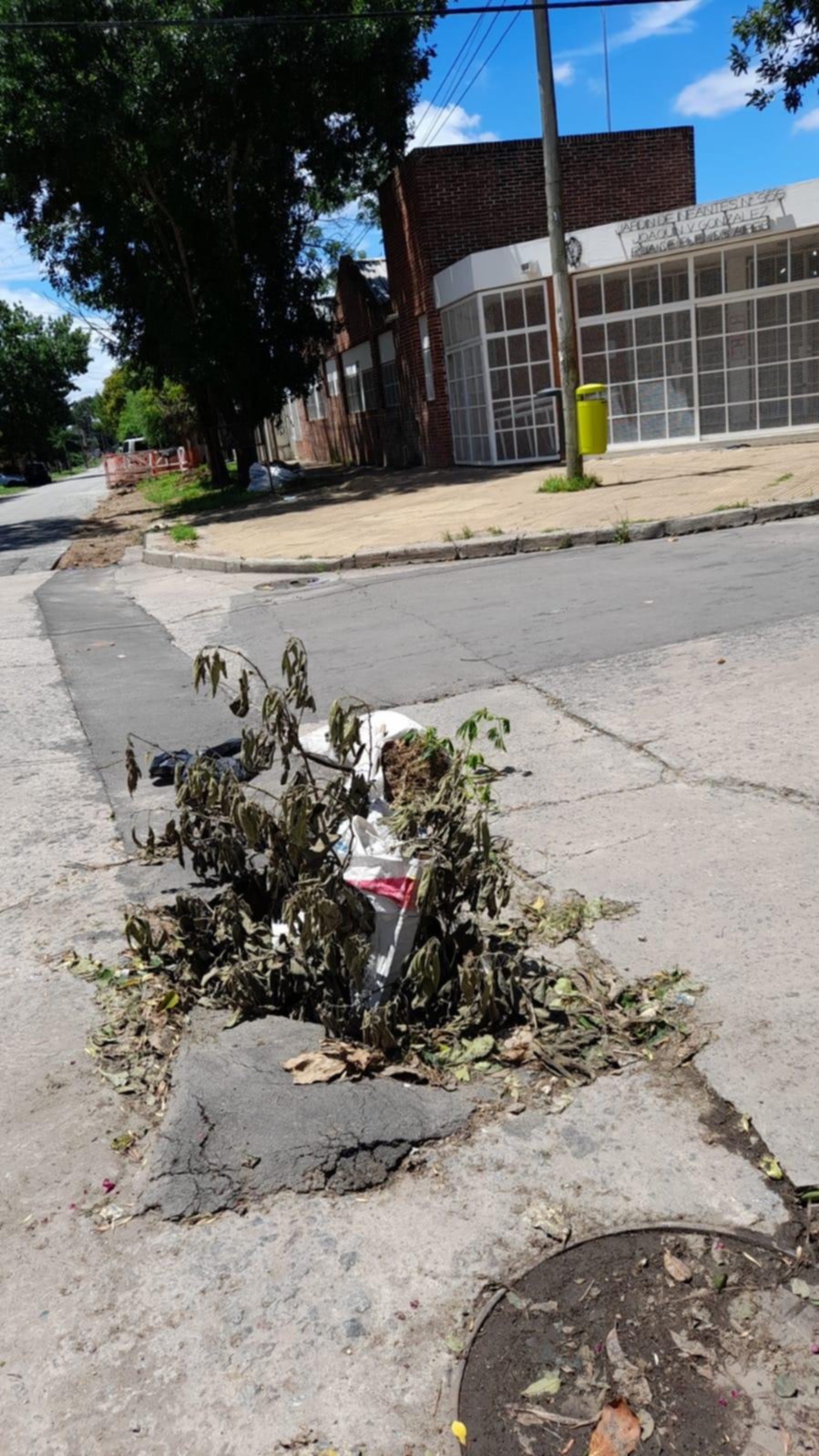 Peligro por un pozo en una esquina, frente a un Jardín