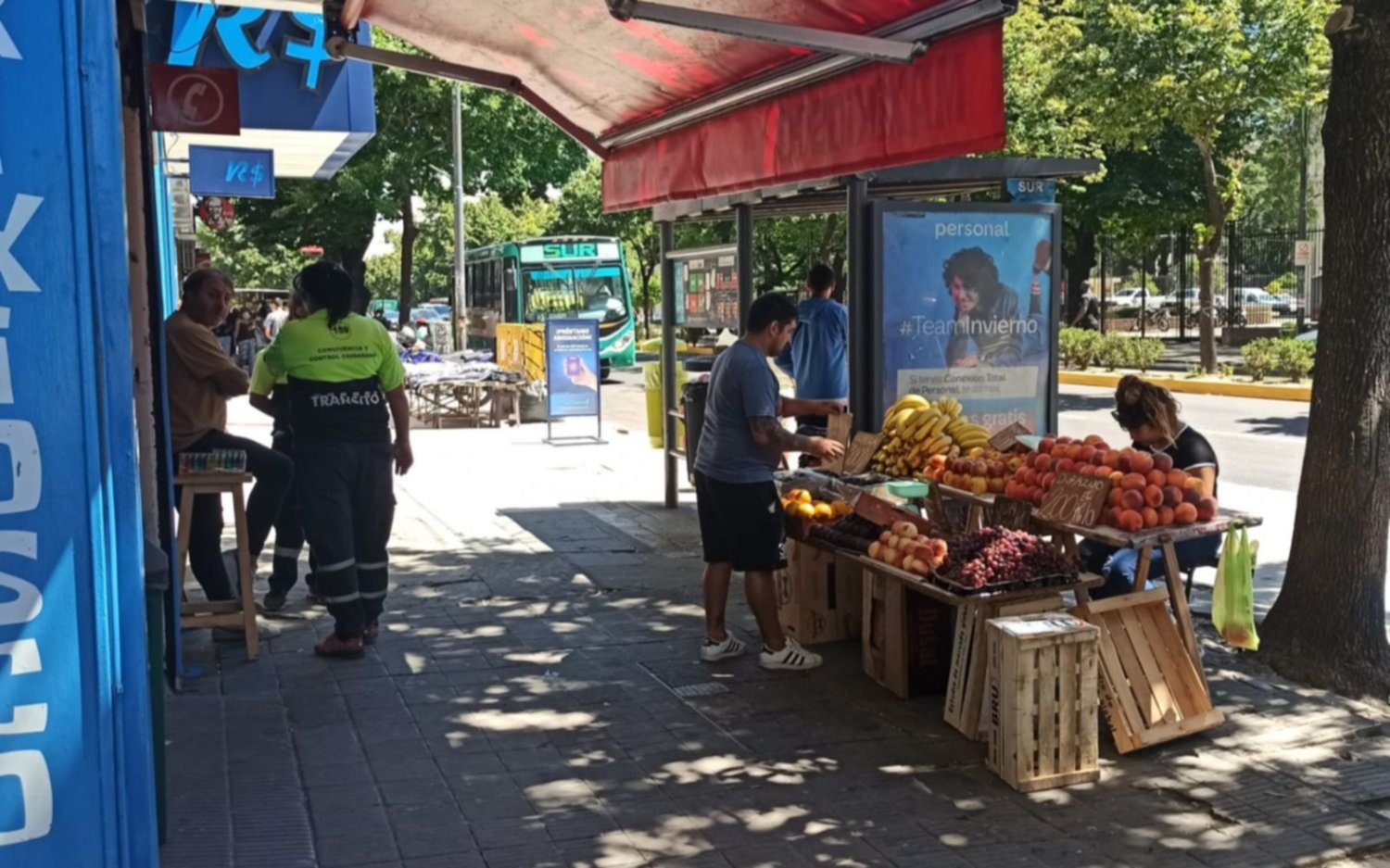 La venta ilegal se diversifica y ya se montan verdulerías en las veredas