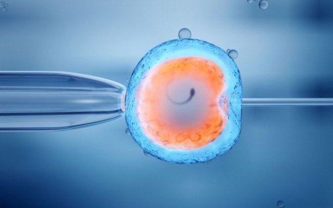 Un especialista en fertilidad engendró al menos 21 hijos utilizando su propio esperma