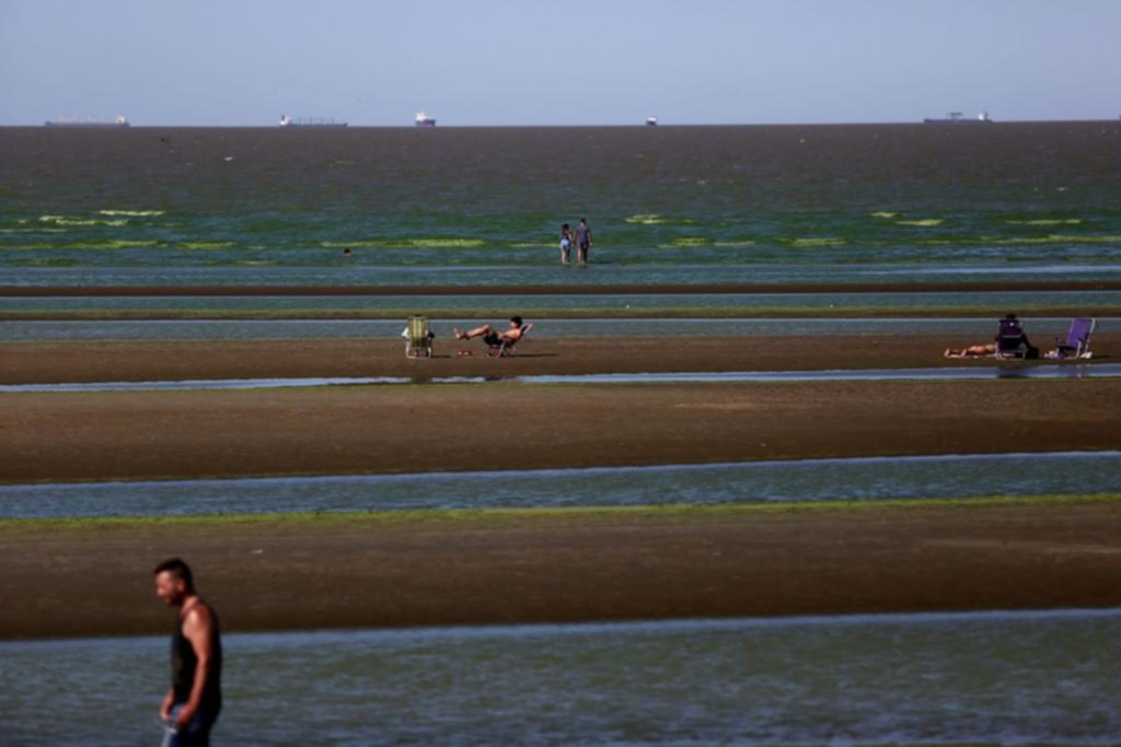 Alerta máxima en una playa de Berisso por la invasión de algas